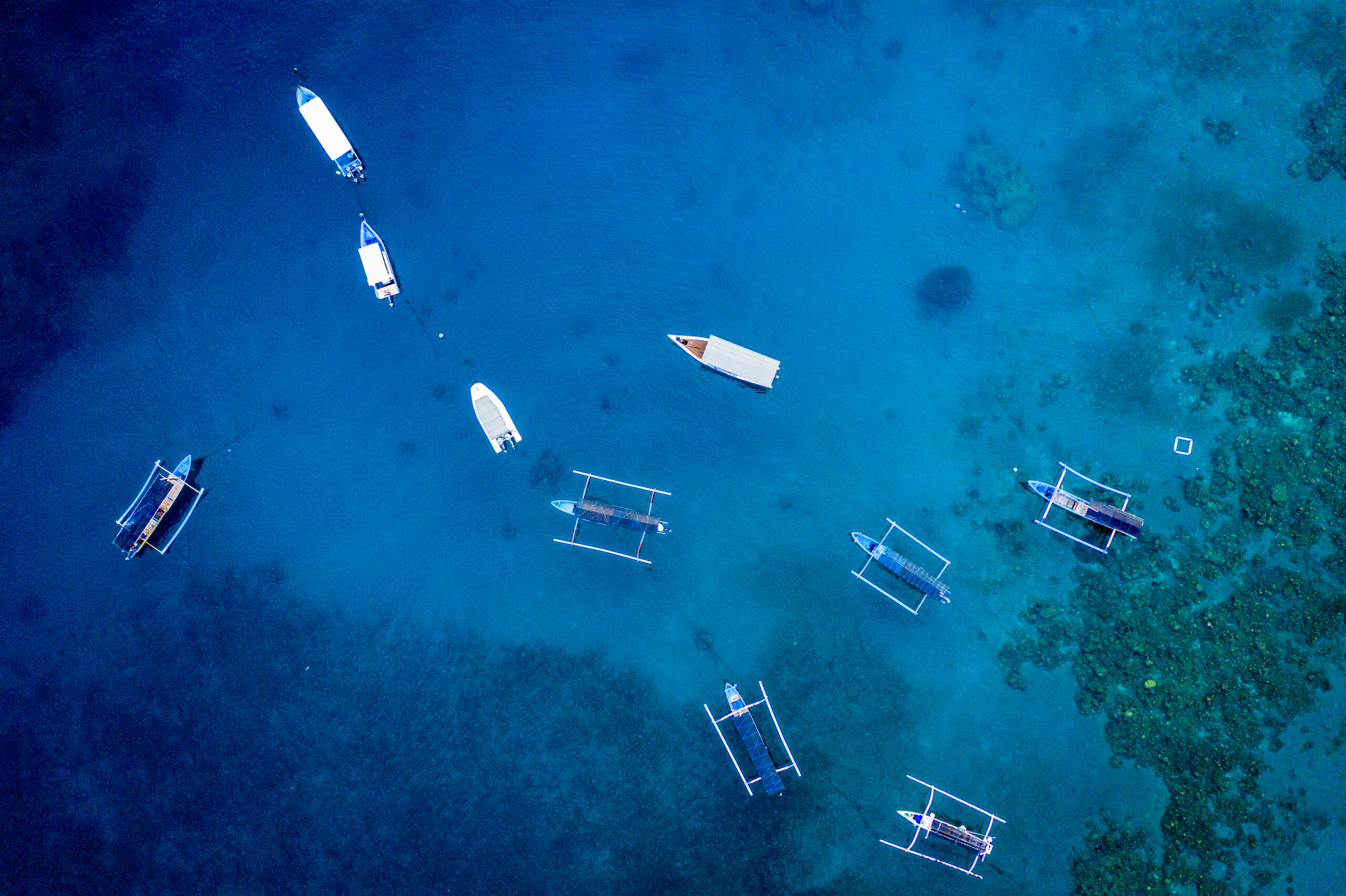 DJI_0224