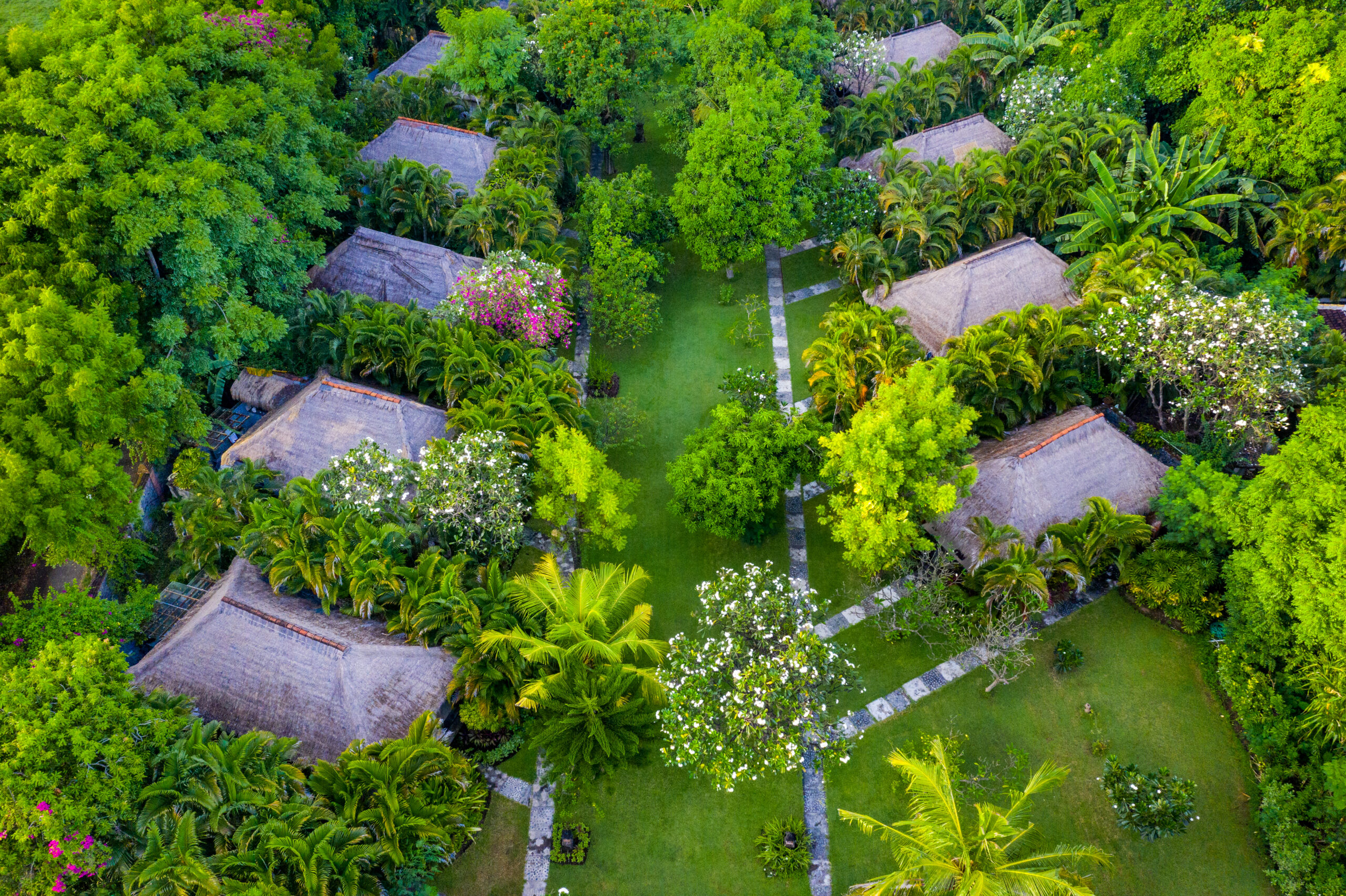 DJI_0247